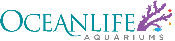 Oceanlife Aquarium